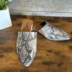 Snake Print Mules NEW